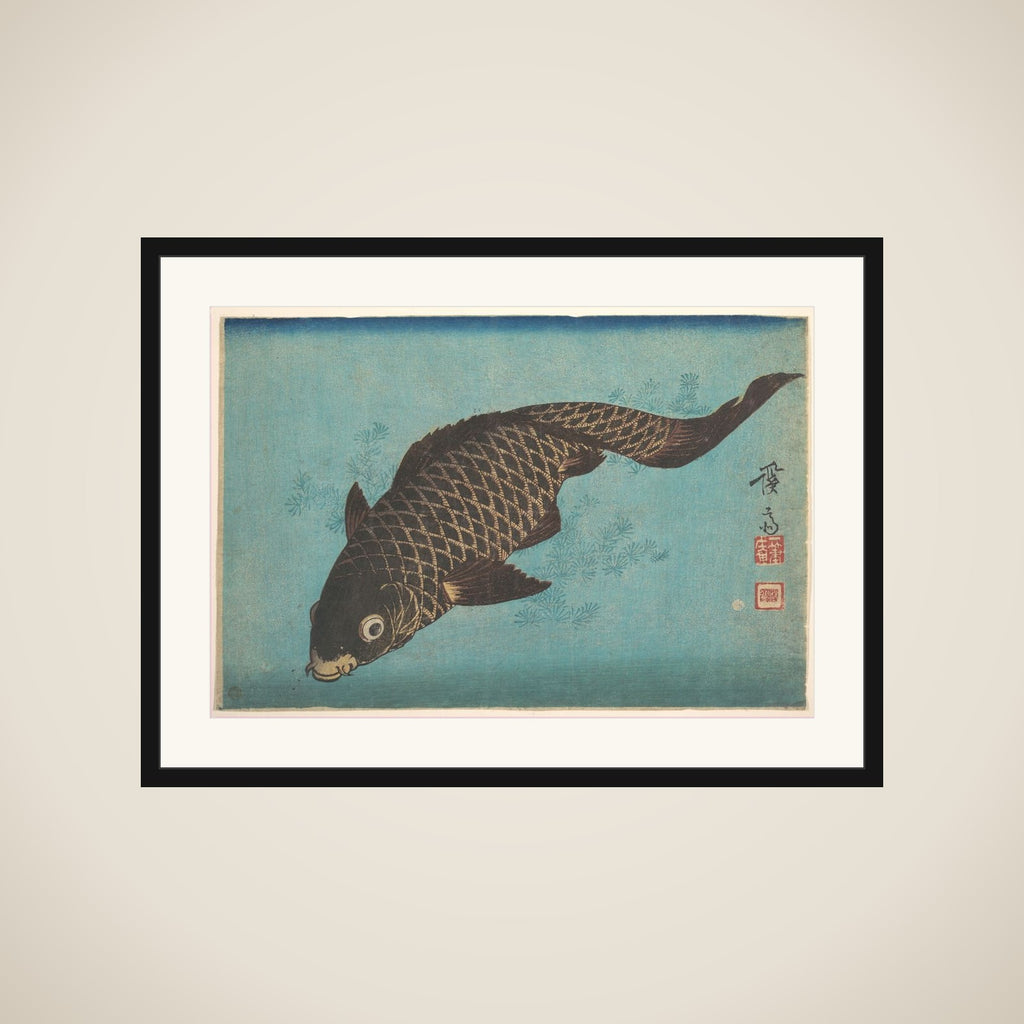 Koi framed