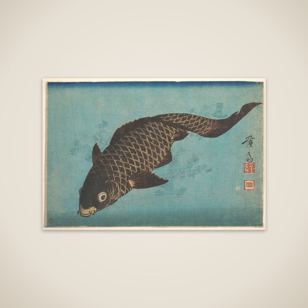 Koi unframed print