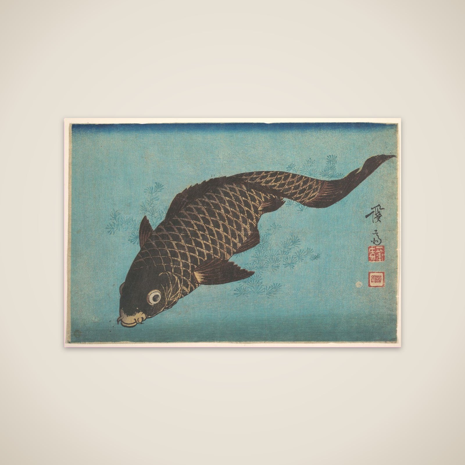 Koi unframed print