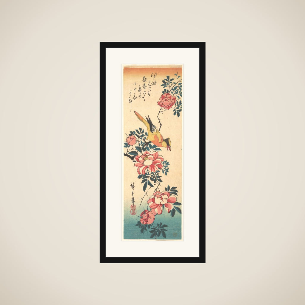 Eastern Grey Wagtail and Rose framed