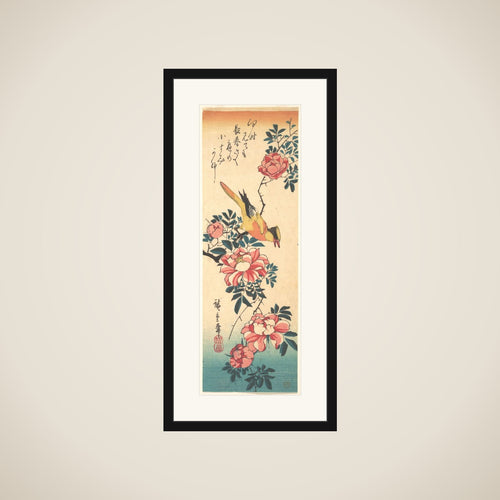 Eastern Grey Wagtail and Rose framed