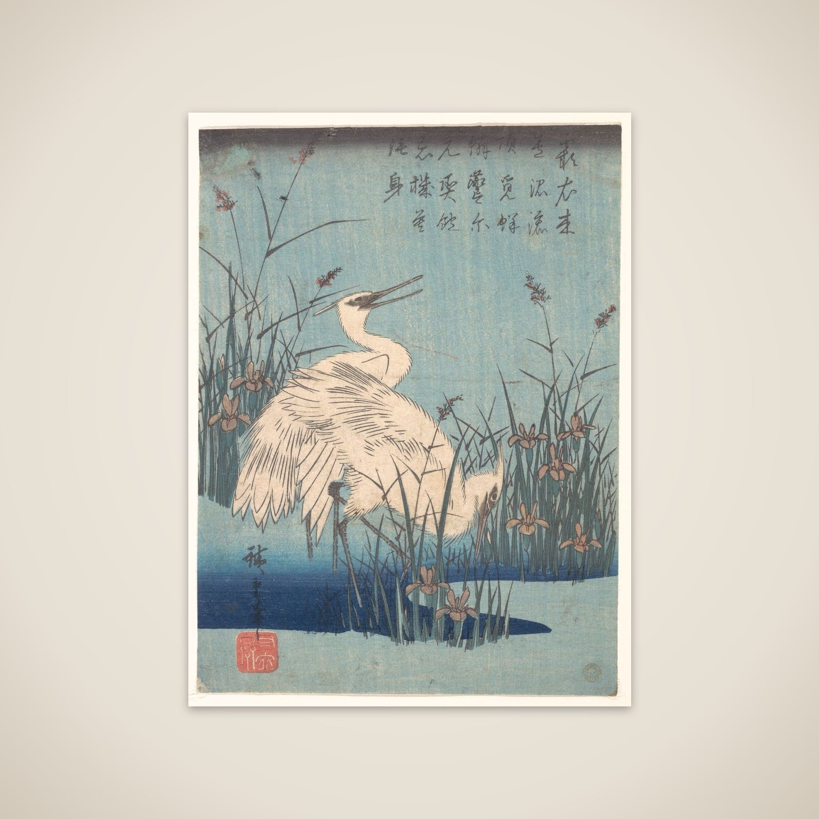 Egret in Iris and Grasses unframed print