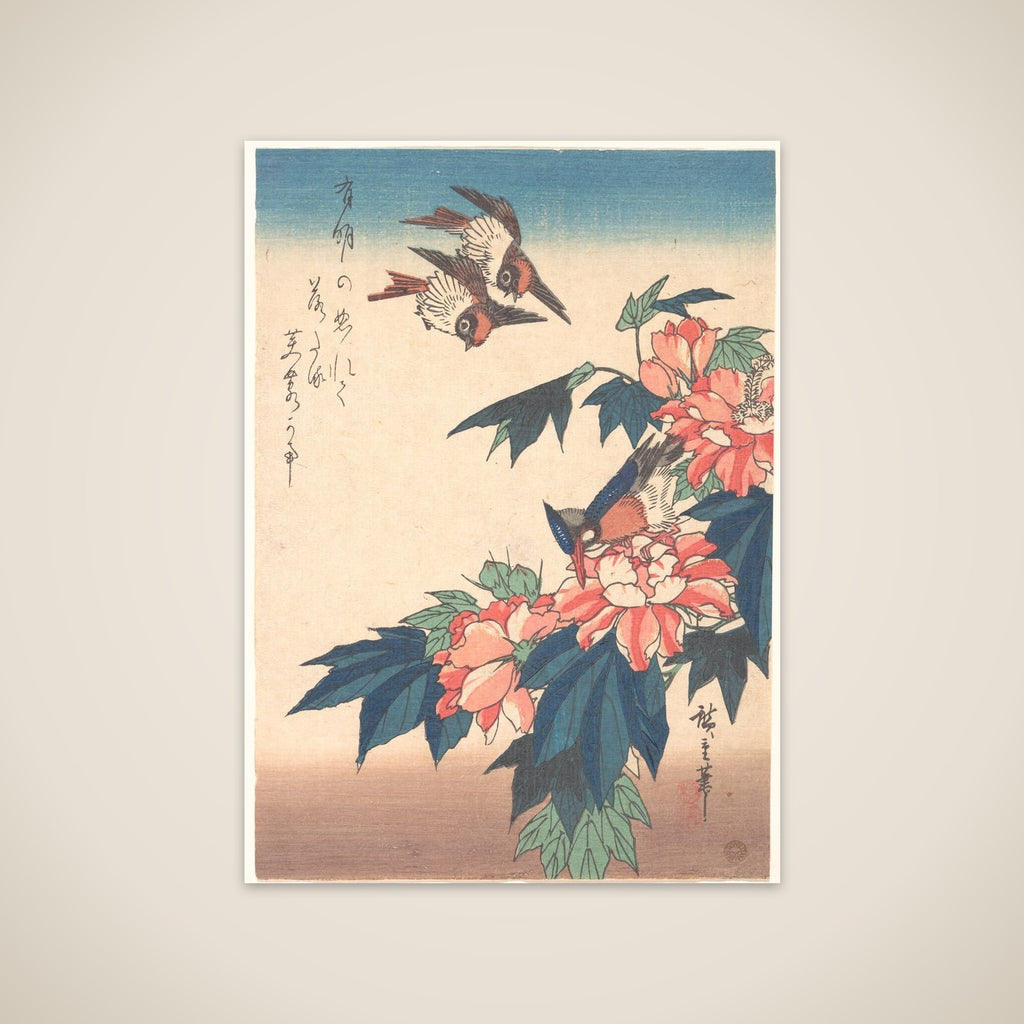 Swallows and Kingfisher with Rose Mallows unframed print