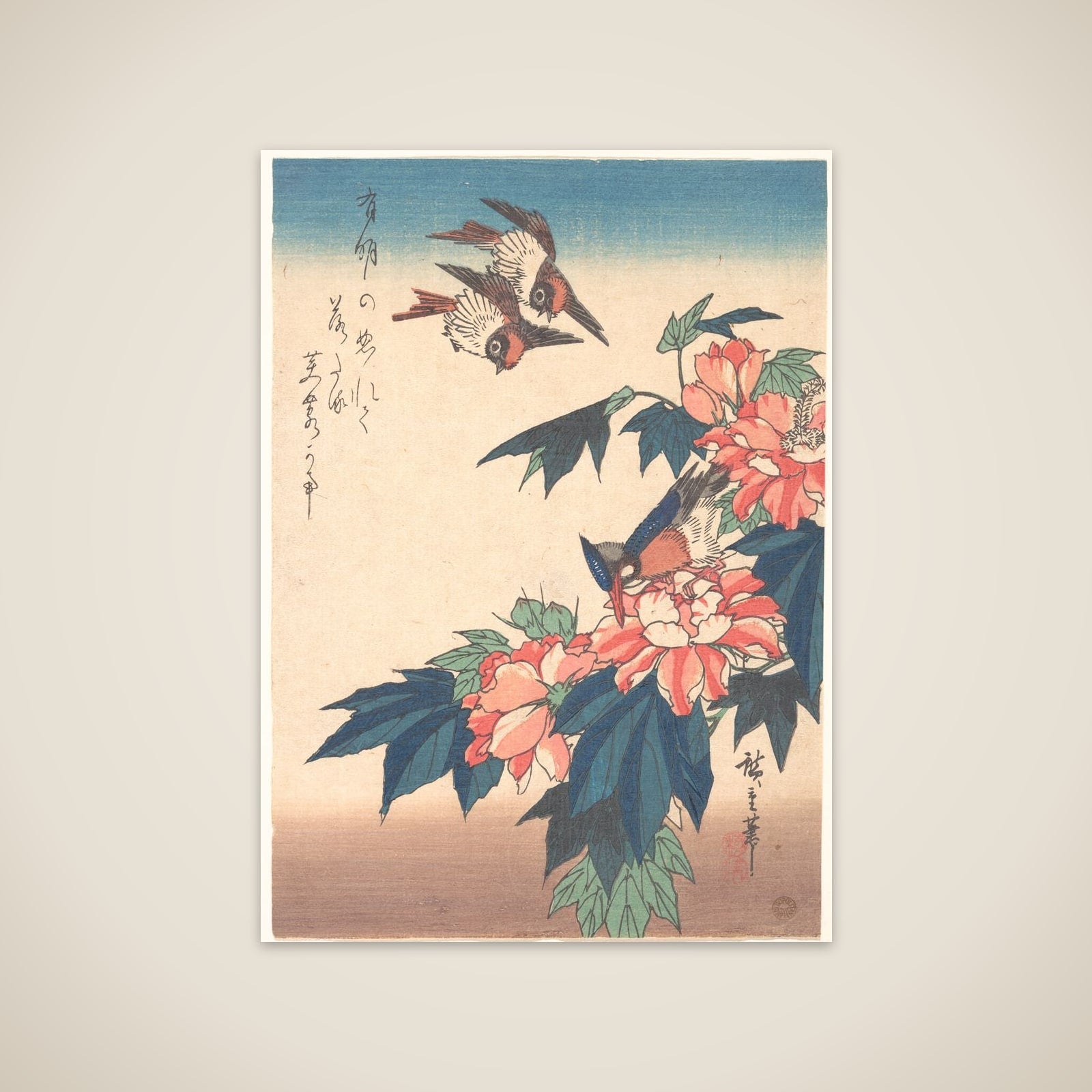 Swallows and Kingfisher with Rose Mallows unframed print