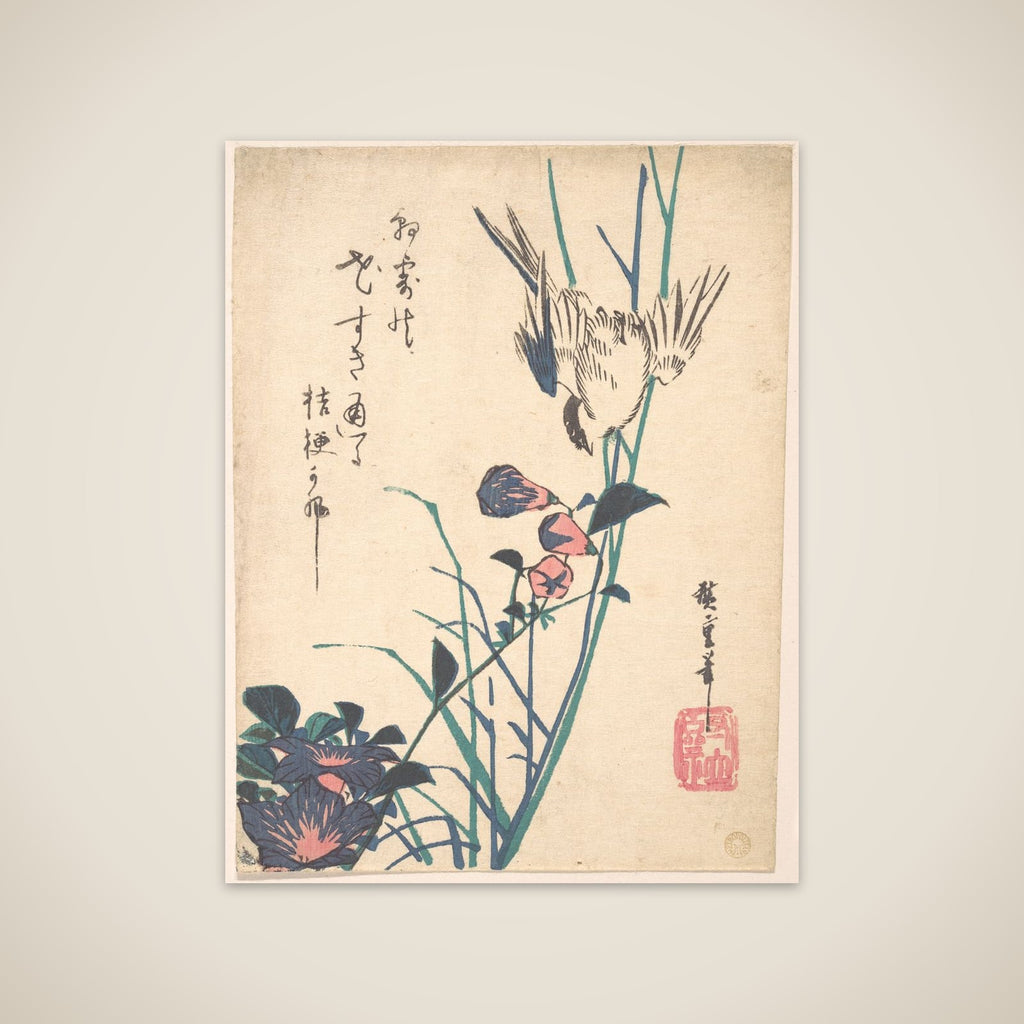 Large-flowered Flat Bill and Sparrow unframed print