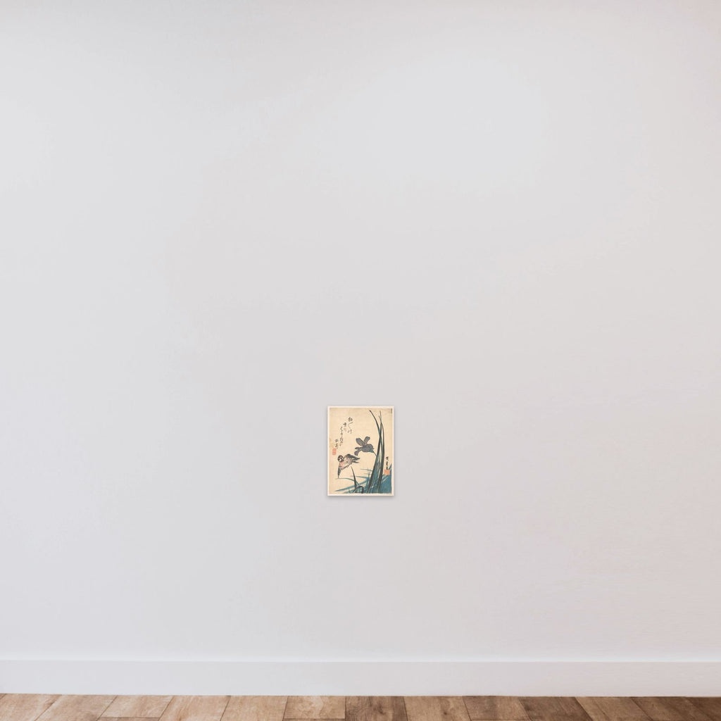 Iris and Sparrow unframed — shown to scale