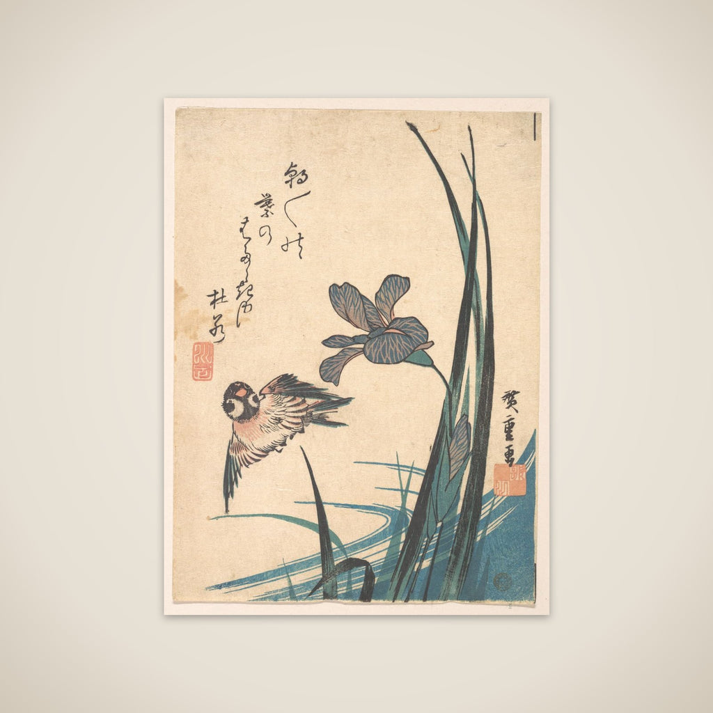 Iris and Sparrow unframed print