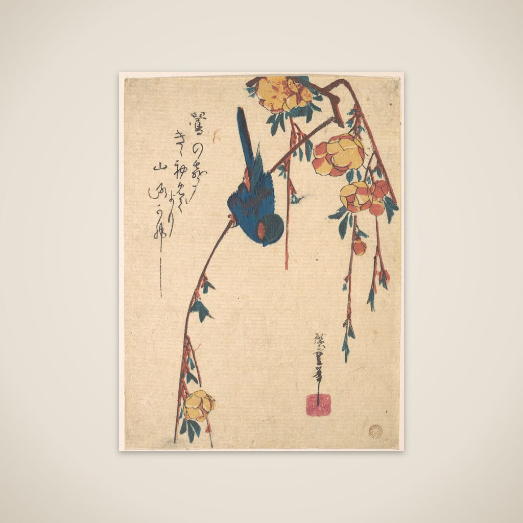 Weeping Cherry and Bluebird unframed print