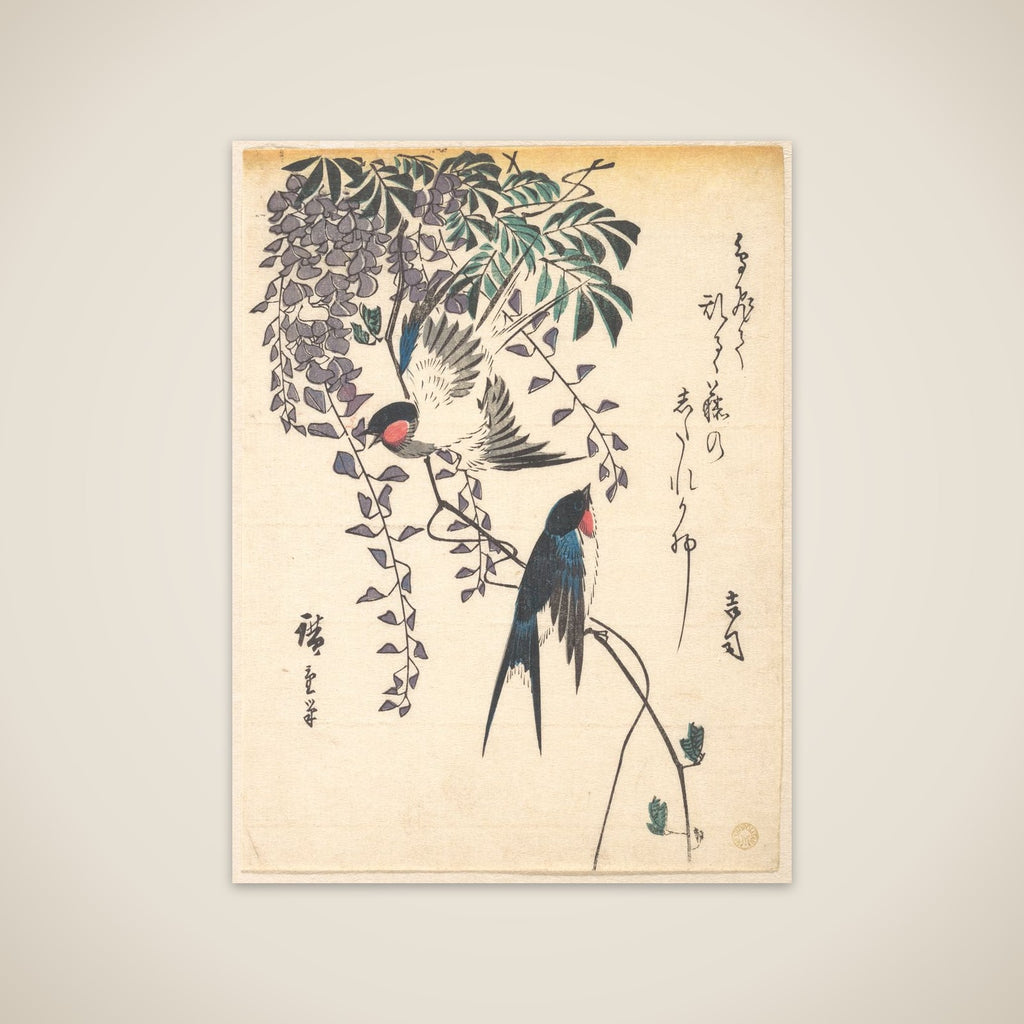 Swallow and Wisteria unframed print