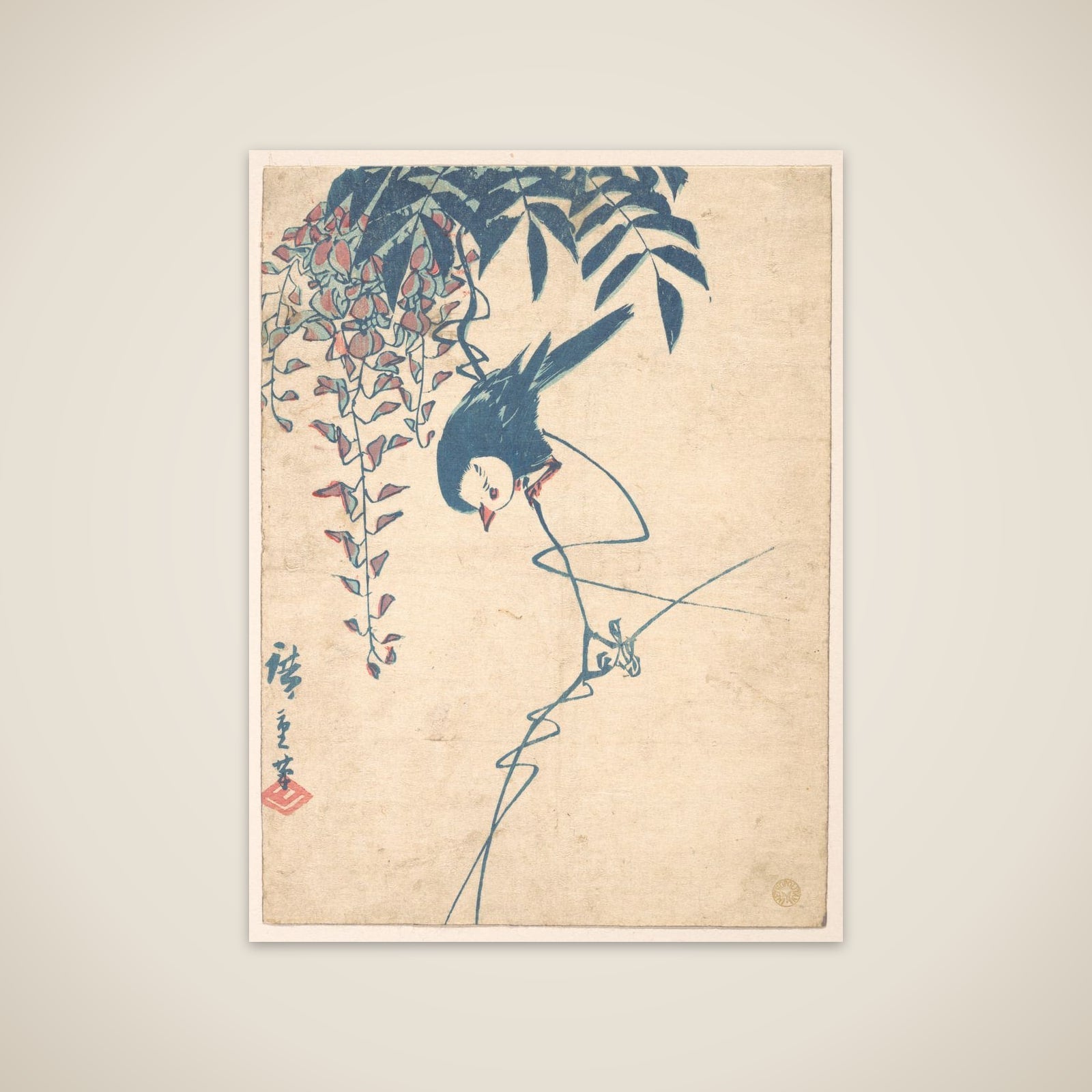 Wisteria and White-headed Bird unframed print