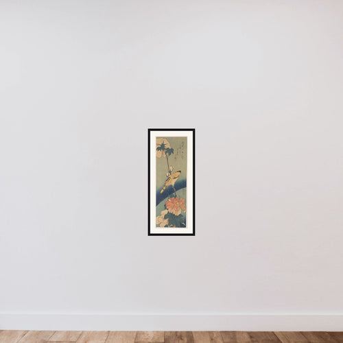 Black-naped Oriole Perched on a Stem of Rose Mallow framed — shown to scale