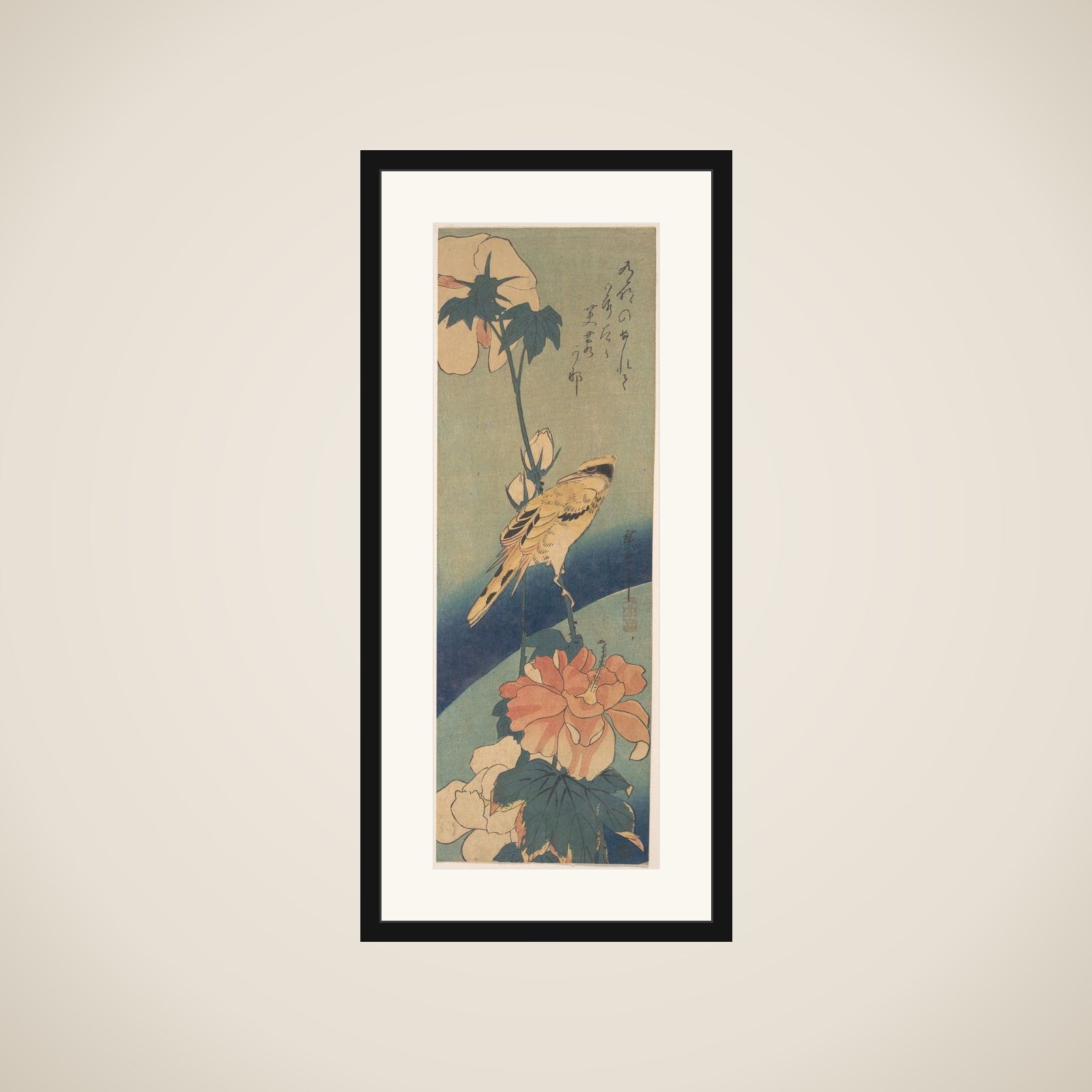 Black-naped Oriole Perched on a Stem of Rose Mallow framed