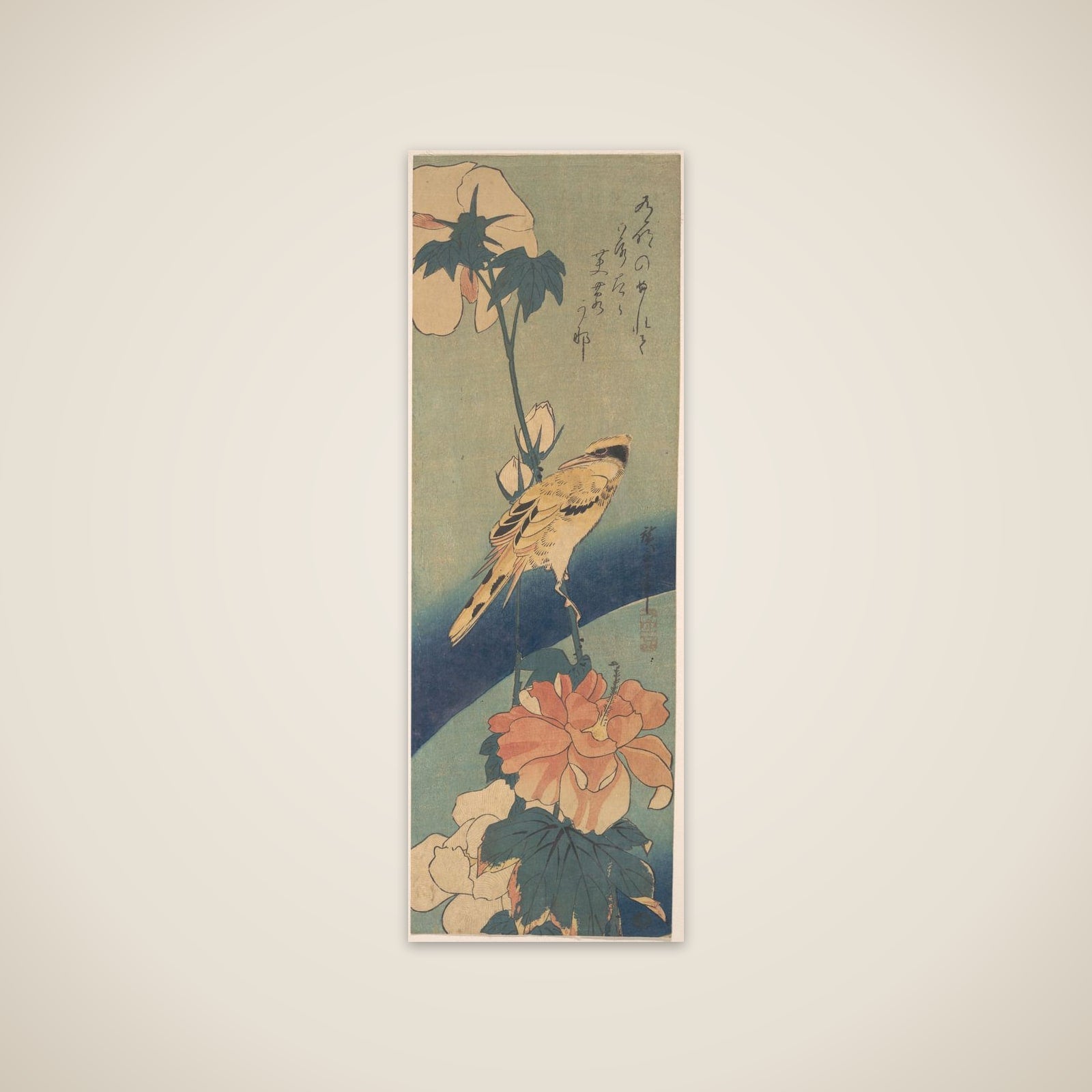 Black-naped Oriole Perched on a Stem of Rose Mallow unframed print