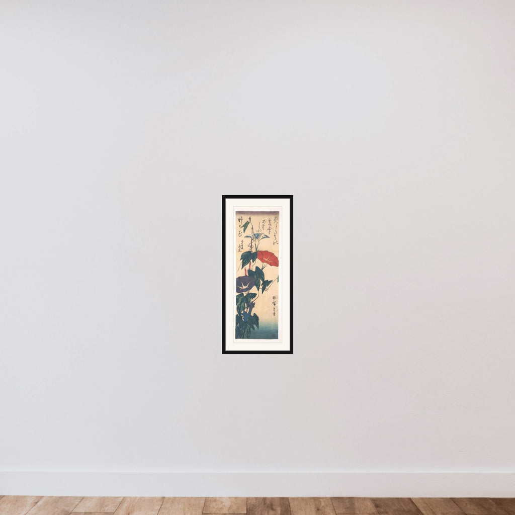 Morning Glories framed — shown to scale