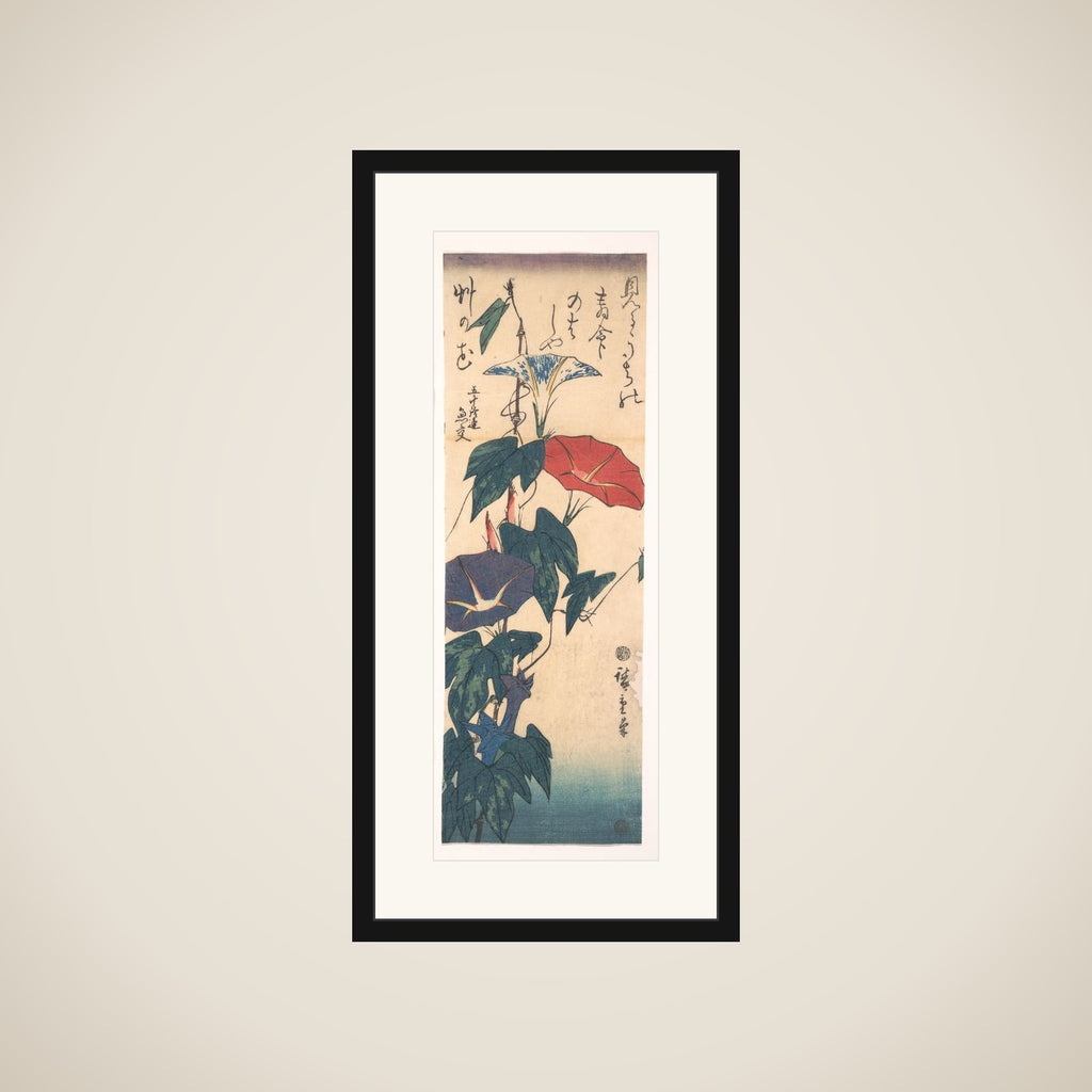 Morning Glories framed