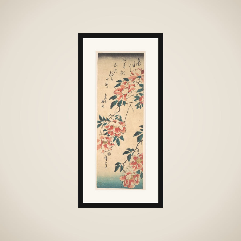 Roses framed