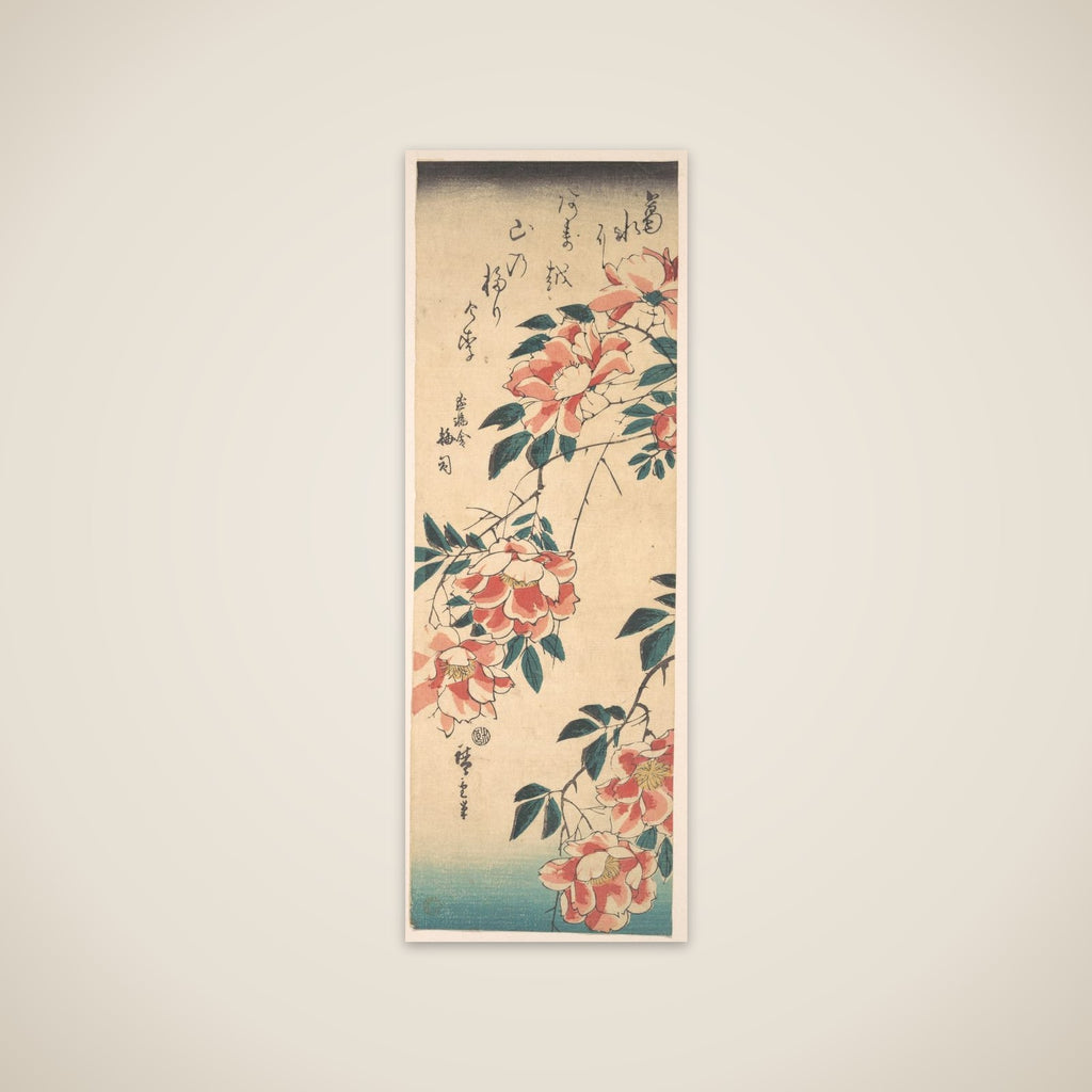 Roses unframed print