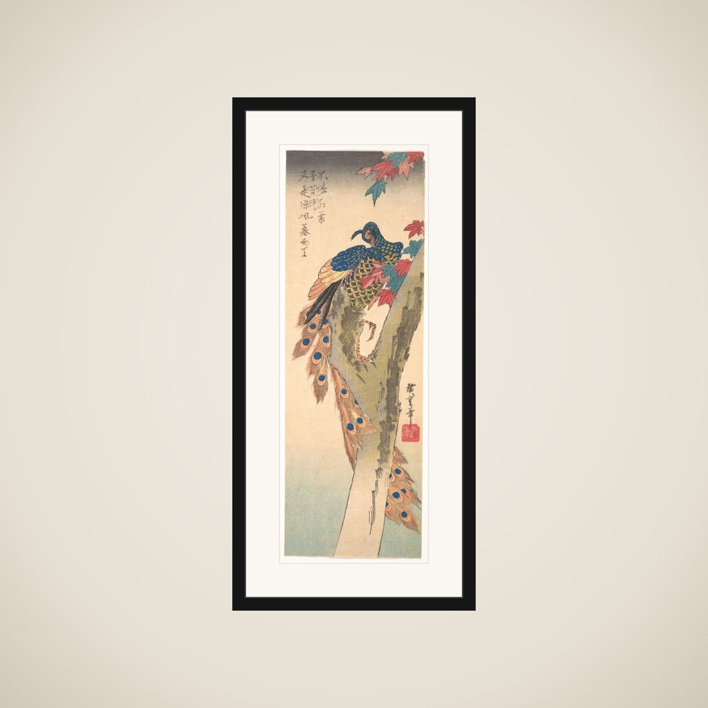 A Peacock Perched on a Maple Tree framed