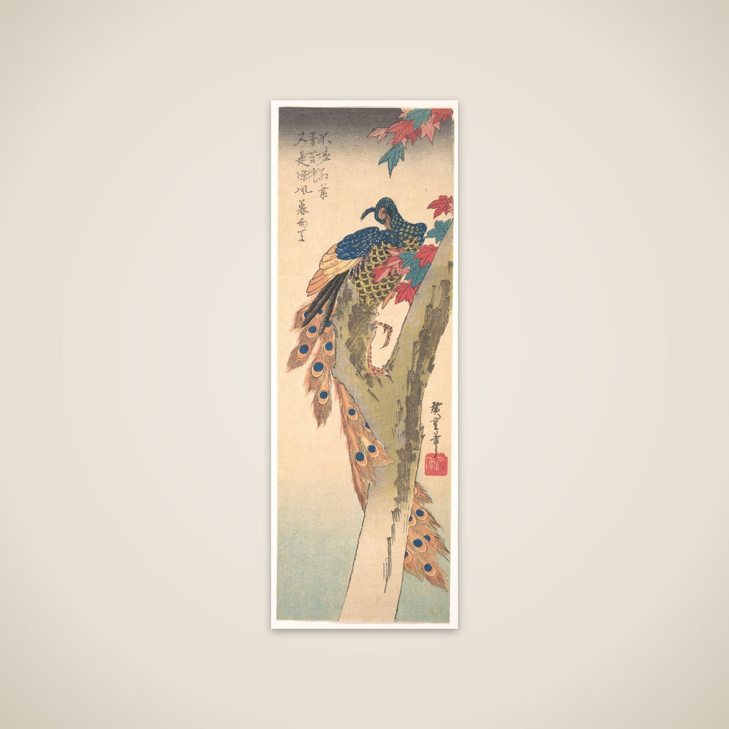 A Peacock Perched on a Maple Tree unframed print
