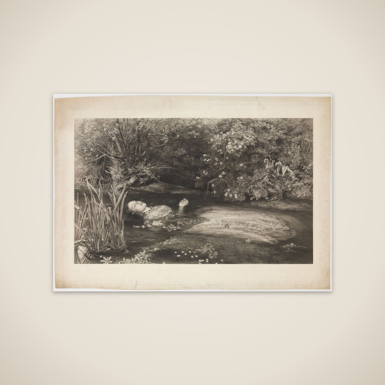 Ophelia (Shakespeare, Hamlet, Act 4, Scene 7) unframed print