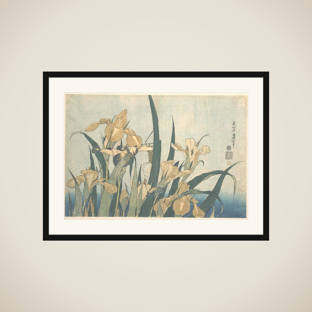 Grasshopper and Iris framed