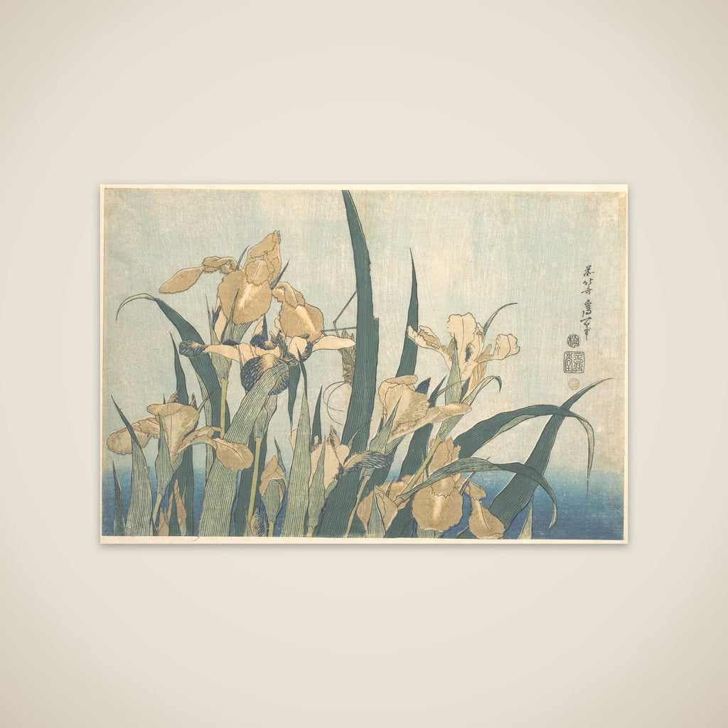 Grasshopper and Iris unframed print