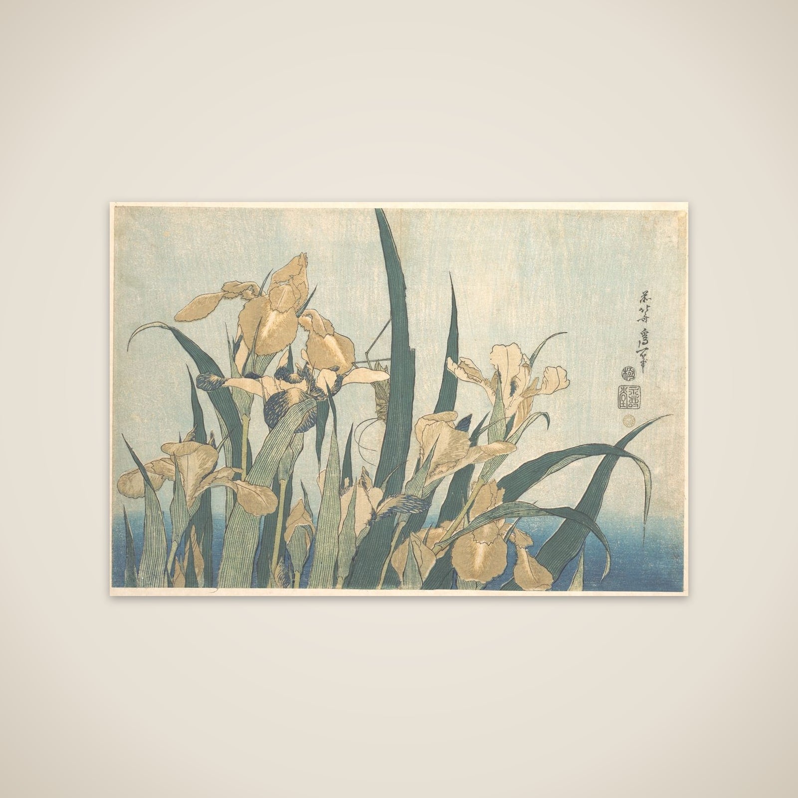 Grasshopper and Iris unframed print