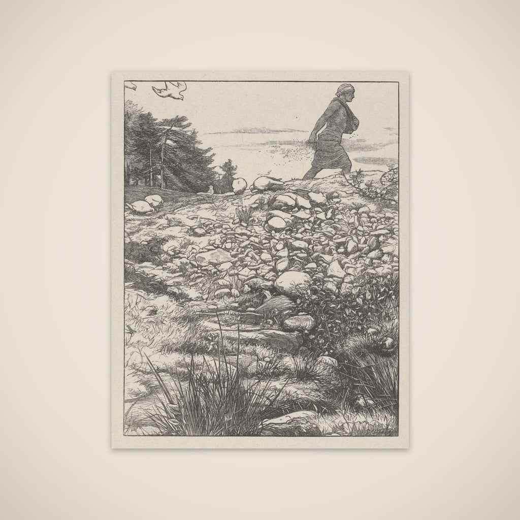 The Sower (The Parables of Our Lord and Saviour Jesus Christ) unframed print