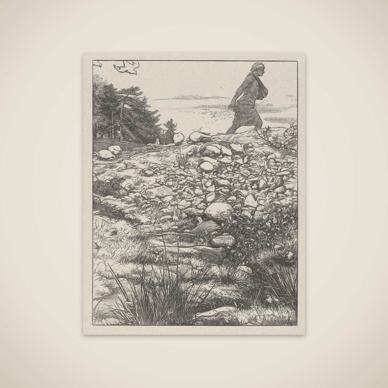 The Sower (The Parables of Our Lord and Saviour Jesus Christ) unframed print