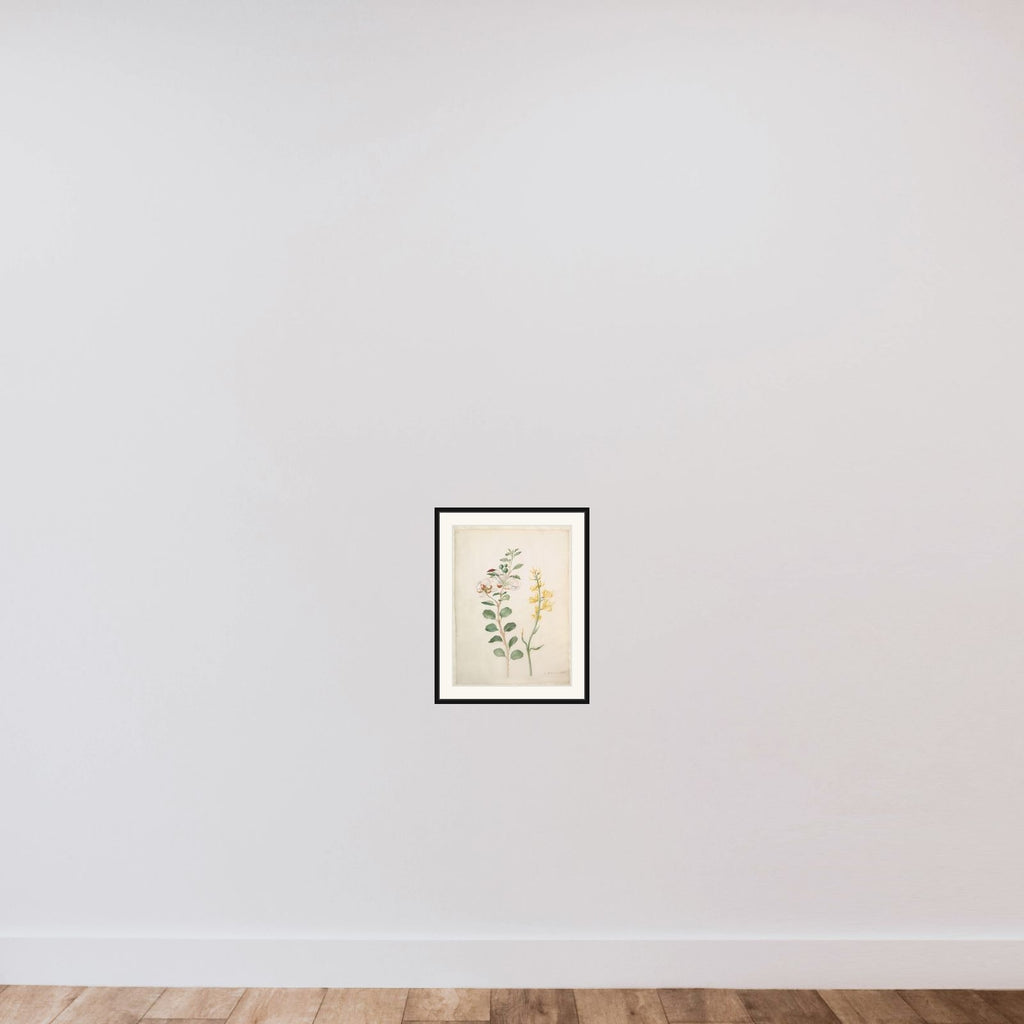 Study of Capers, Gorse, and a Beetle framed — shown to scale