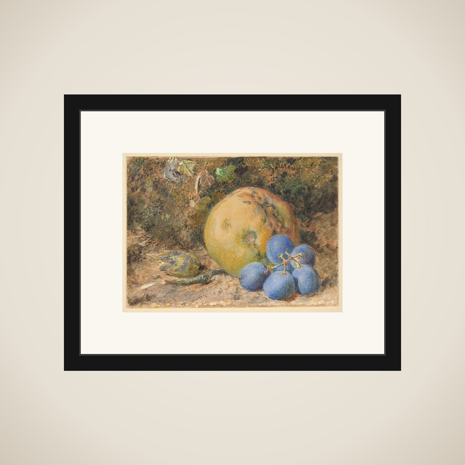 An apple, grapes and a hazelnut on a mossy bank framed