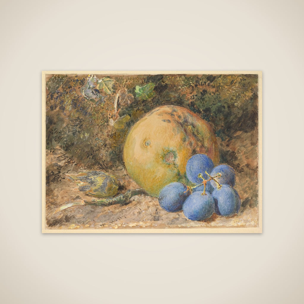 An apple, grapes and a hazelnut on a mossy bank unframed print