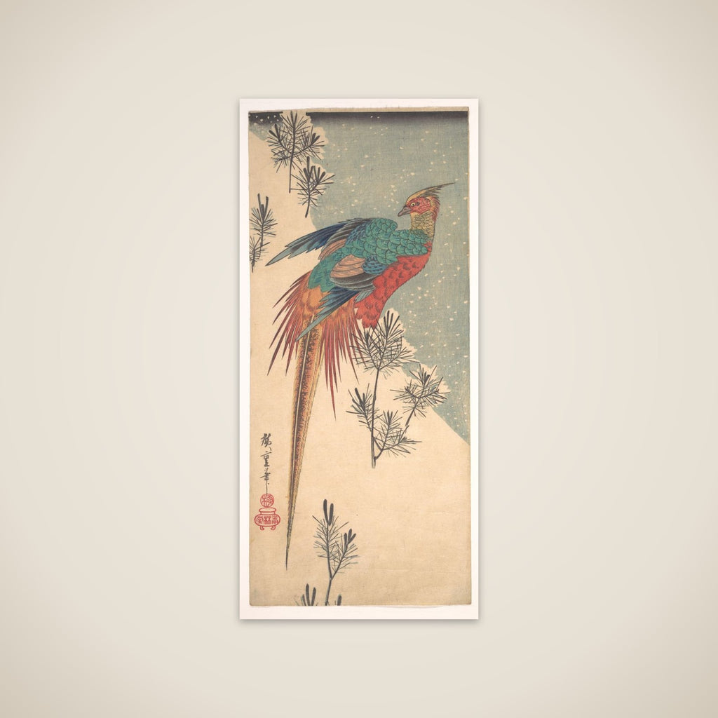 Golden Pheasant and Pine Shoots in Snow unframed print