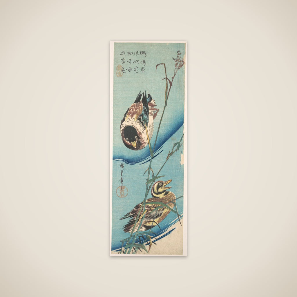 Mallard Ducks and Snow-covered Reeds unframed print