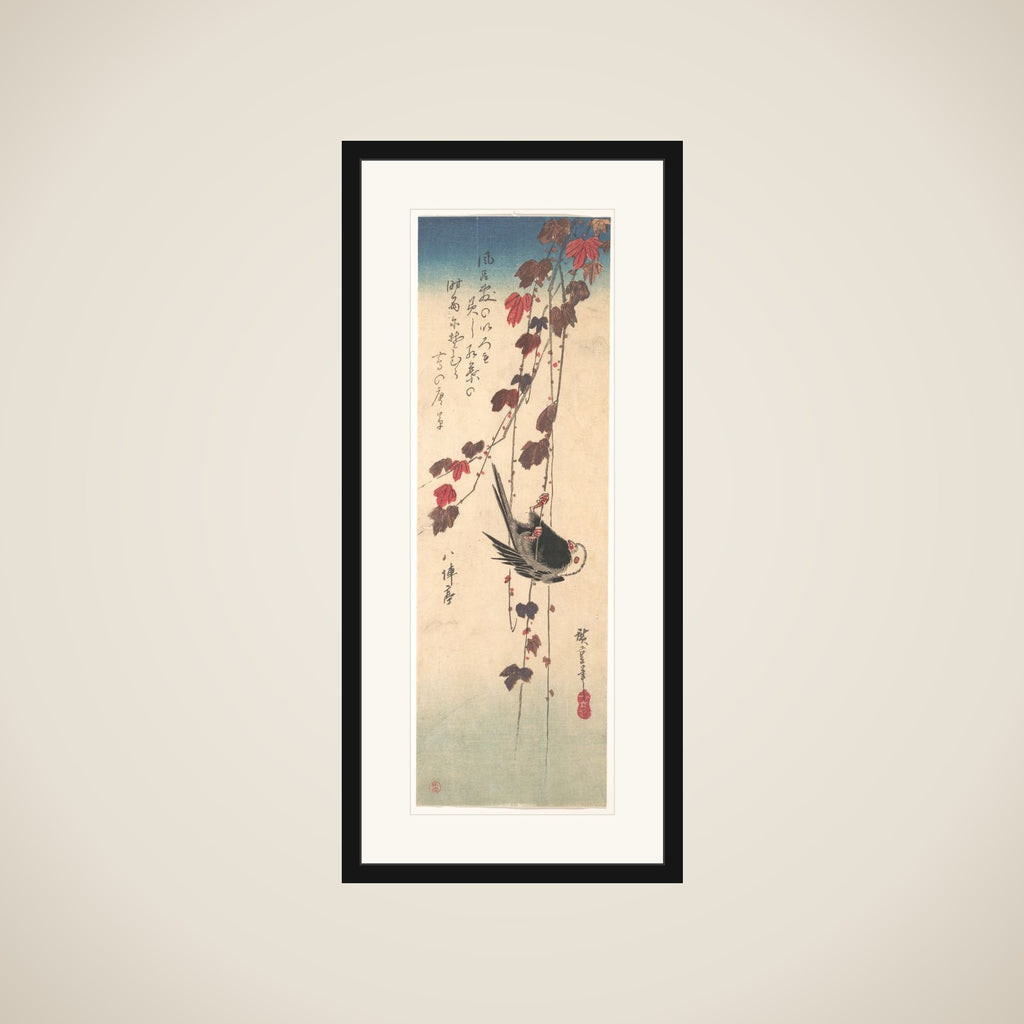 Long-tailed Tit on Autumn Ivy framed