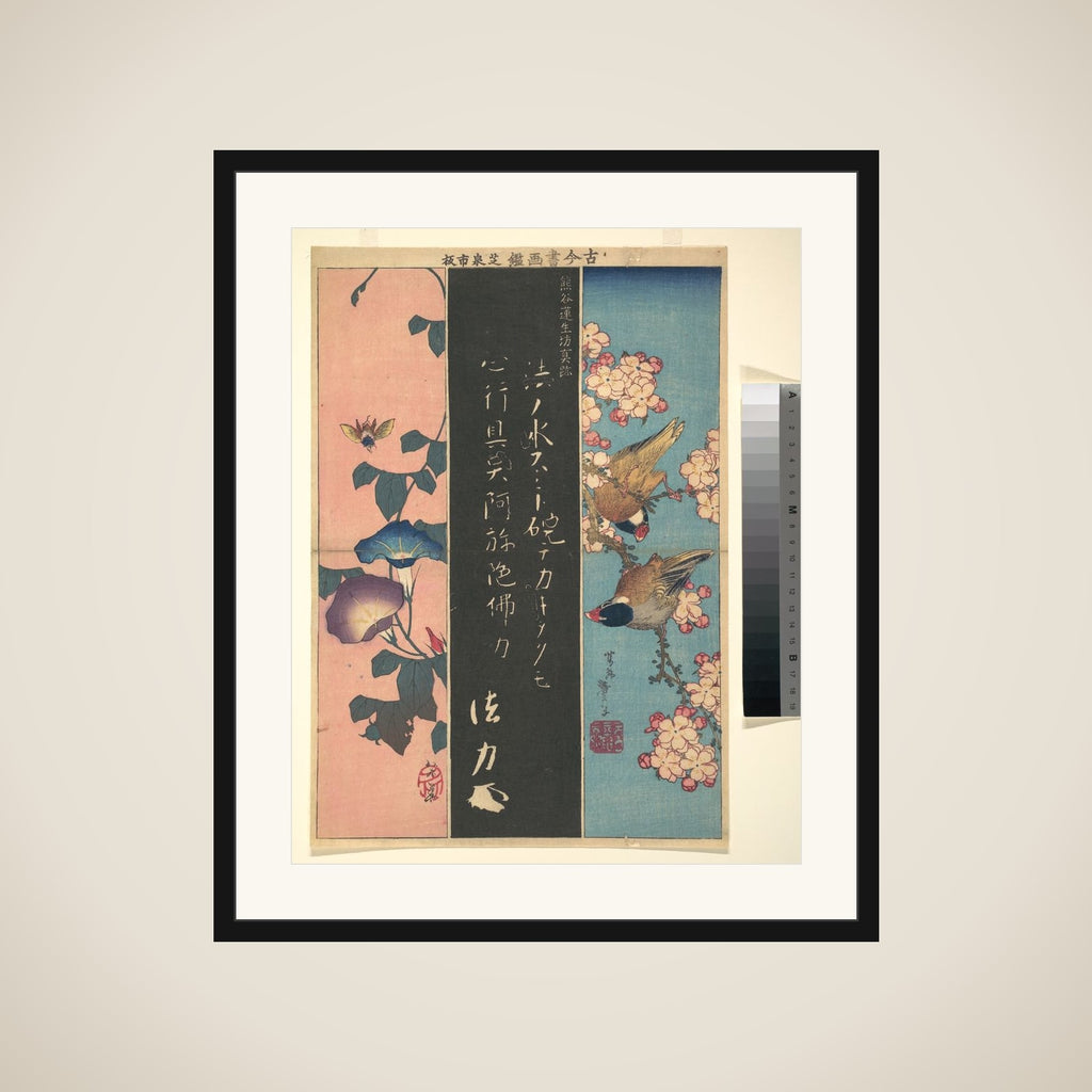Bird-and-Flower Paintings framed