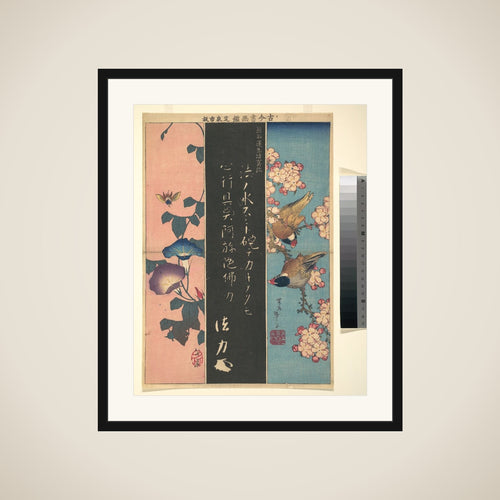 Bird-and-Flower Paintings framed