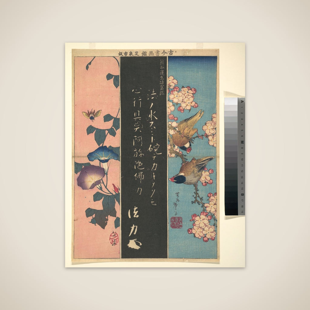 Bird-and-Flower Paintings unframed print