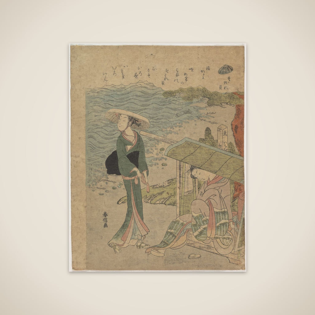 The Curtain Clam unframed print