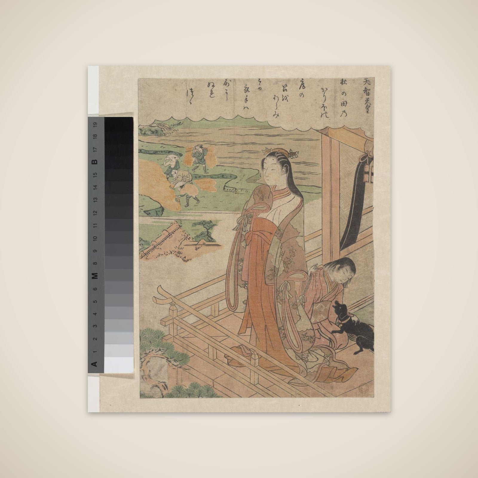 Sympathy unframed print