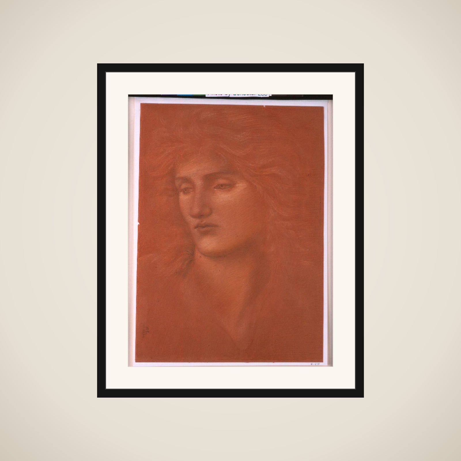 Study of a Female Head framed