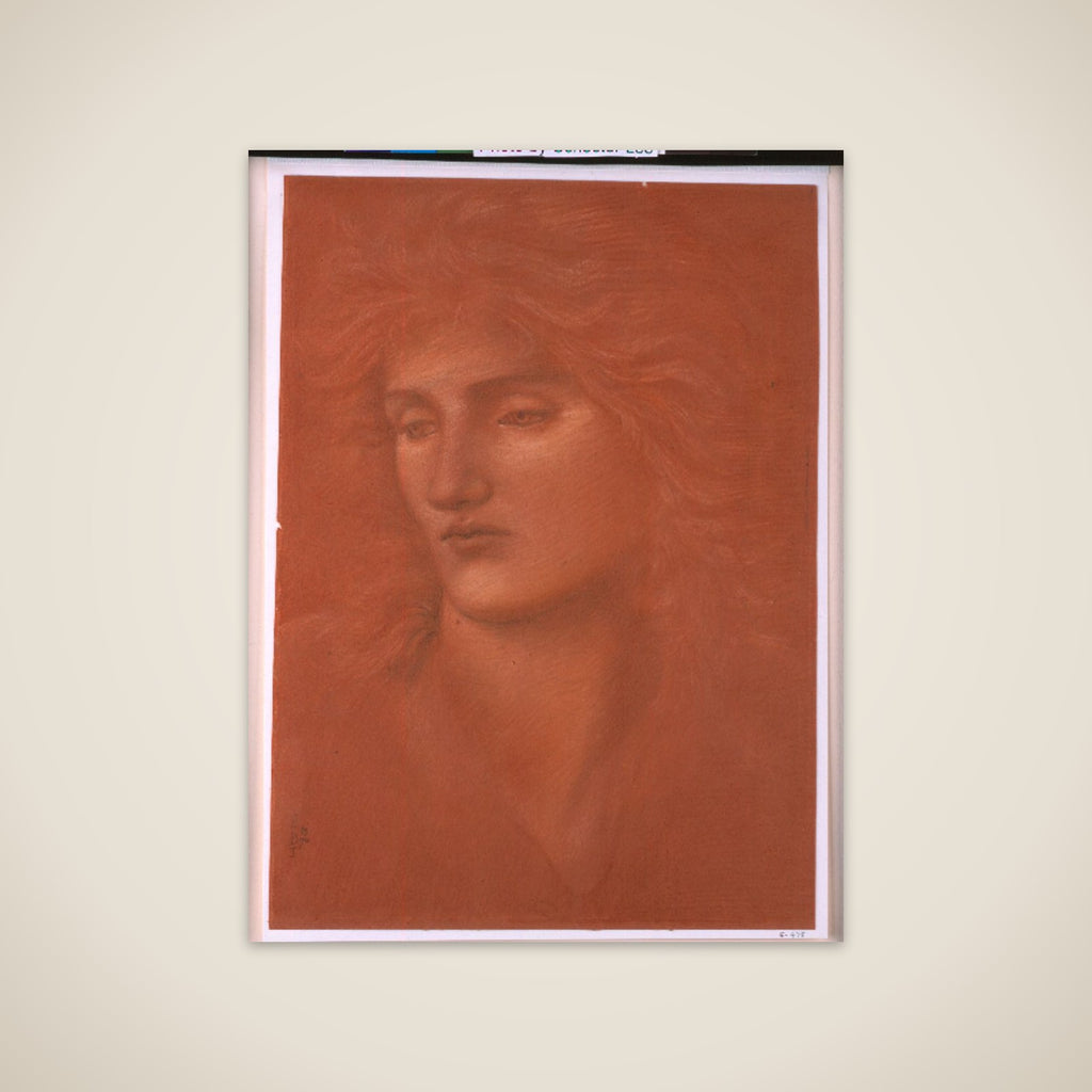 Study of a Female Head unframed print