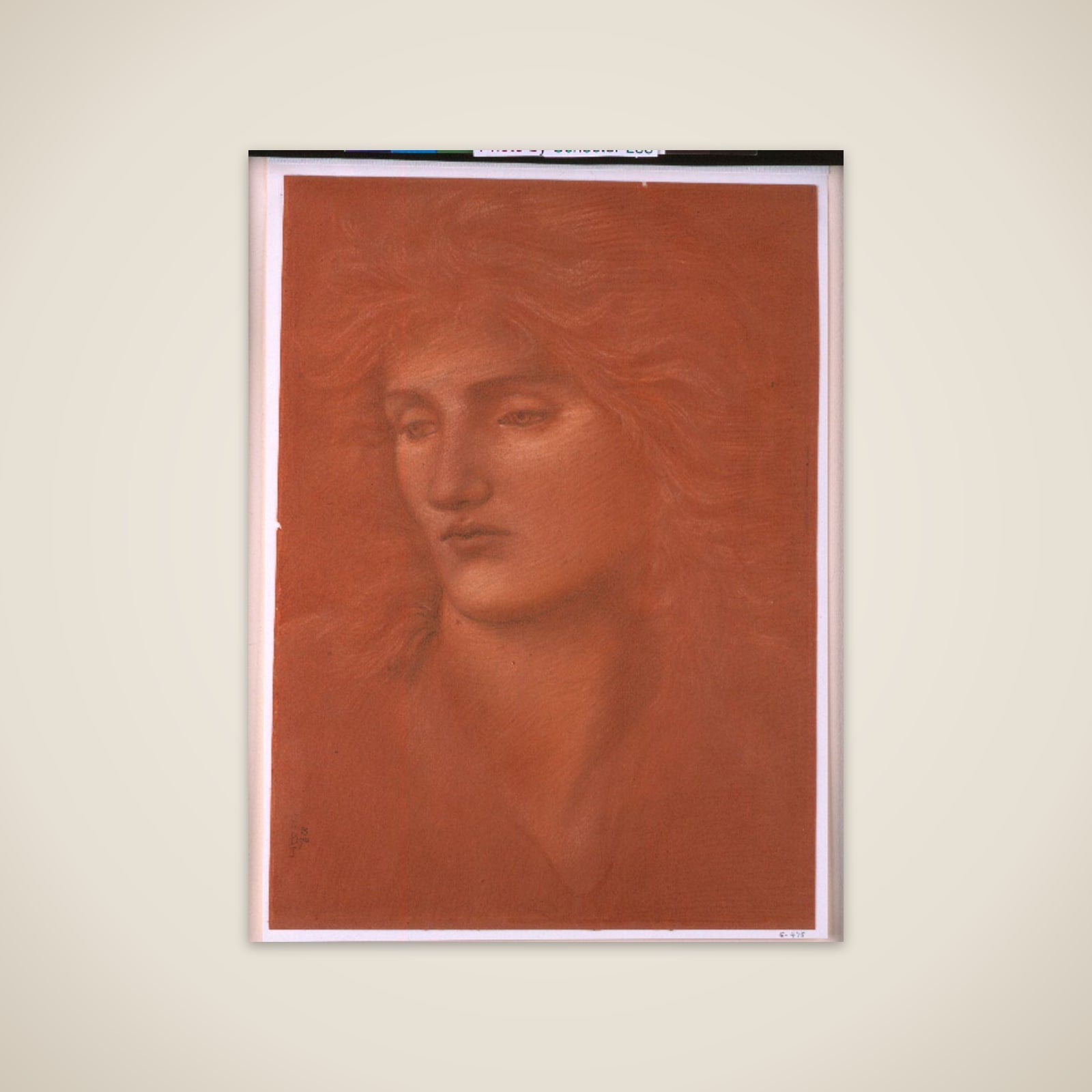 Study of a Female Head unframed print