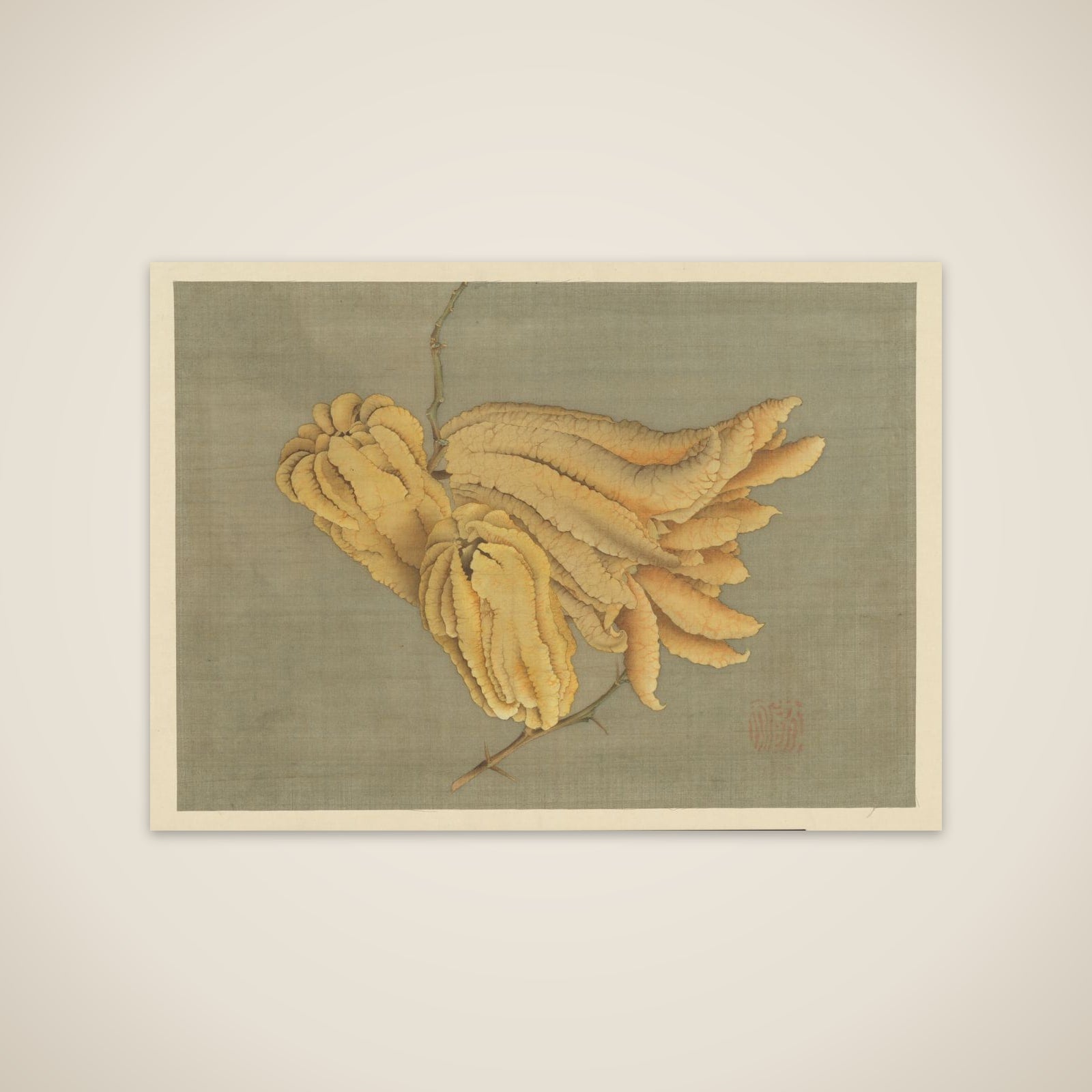Buddha’s Hand Citron (Busshukan) unframed print