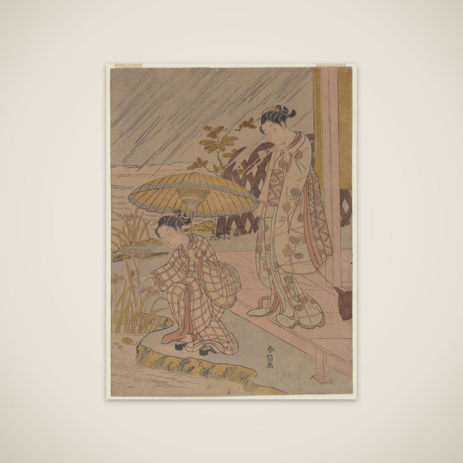 Viewing Iris in the Rain unframed print