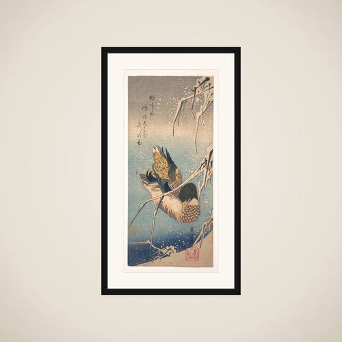 A Wild Duck near a Snow-laden Shore framed