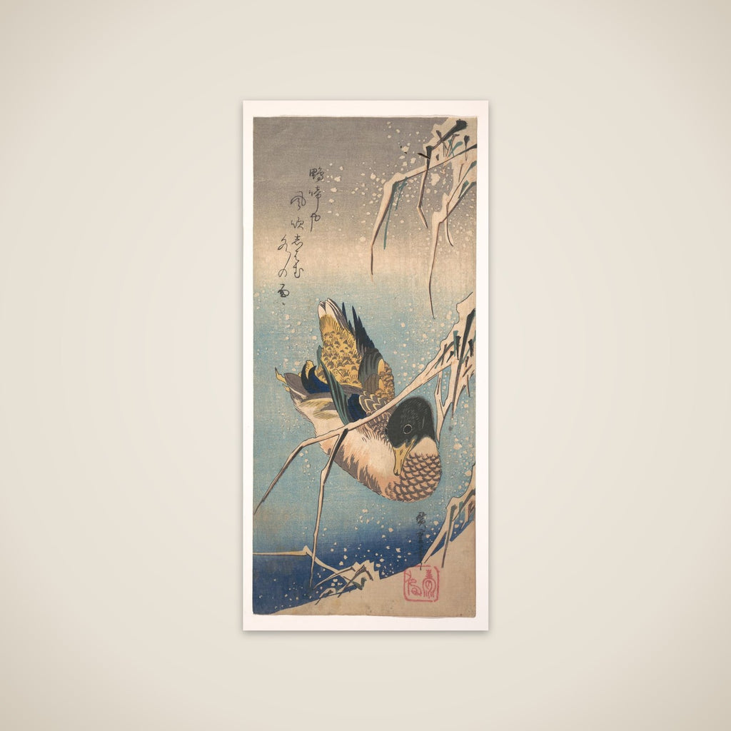 A Wild Duck near a Snow-laden Shore unframed print