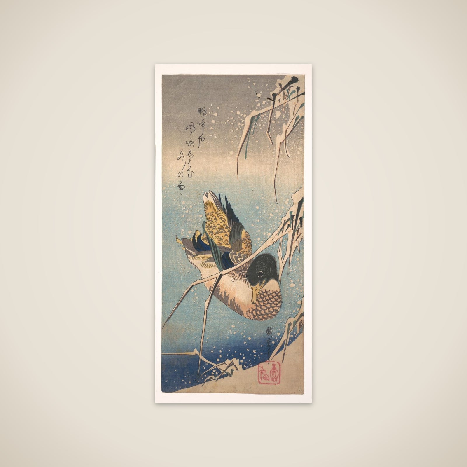 A Wild Duck near a Snow-laden Shore unframed print