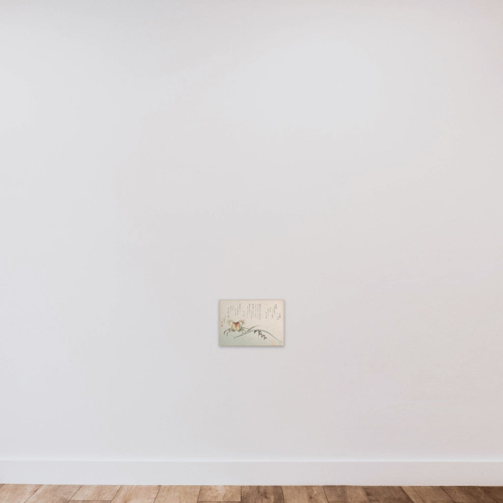 Crab and Rice Plant unframed — shown to scale