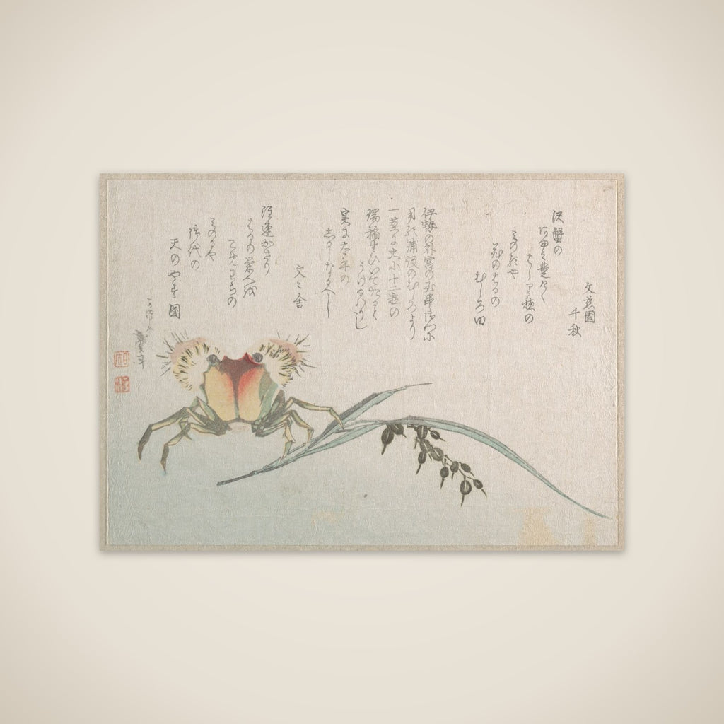 Crab and Rice Plant unframed print